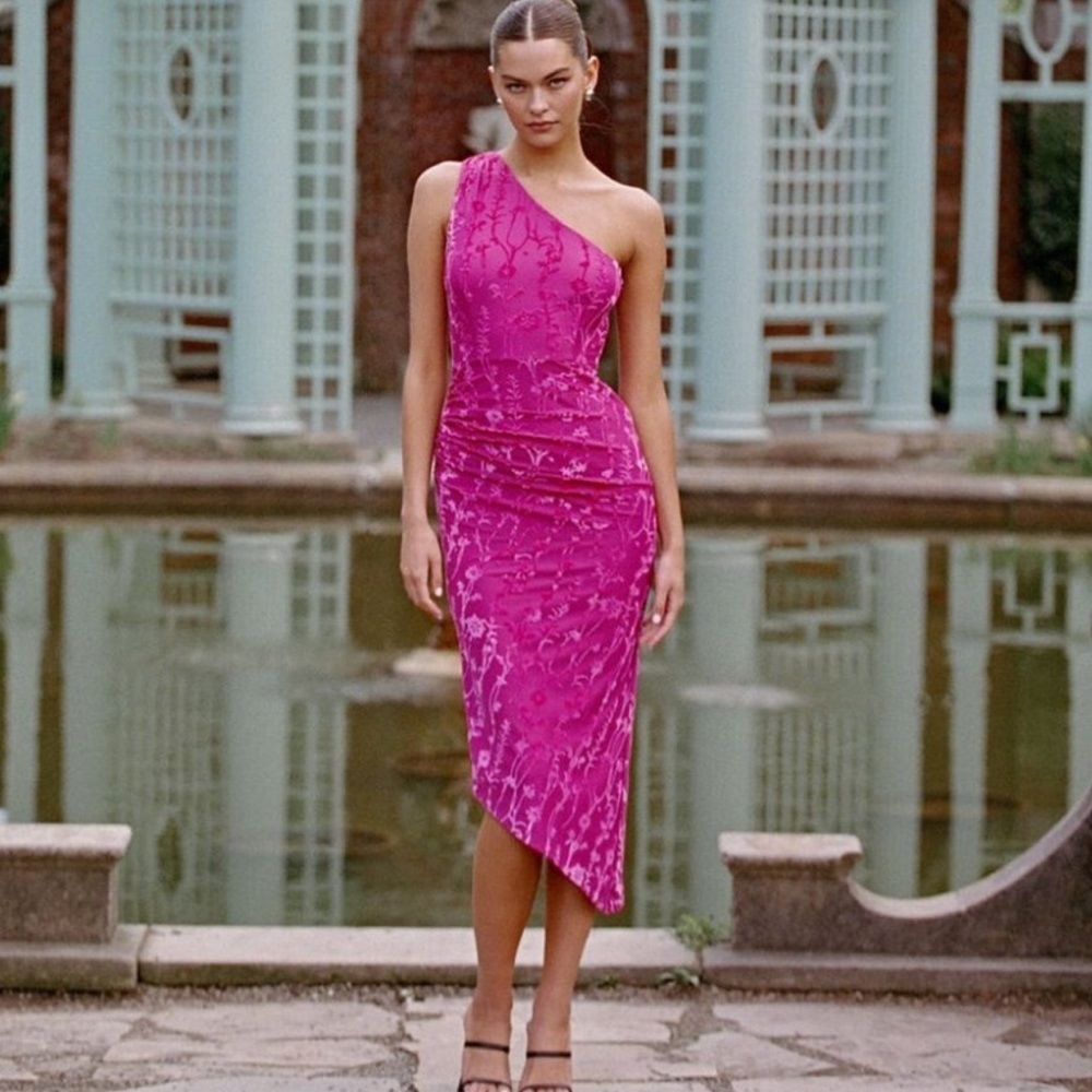 Anthropologie HUTCH One Shoulder Ruched Velvet Flocked Midi Dress Pink Size L - Picture 2 of 14